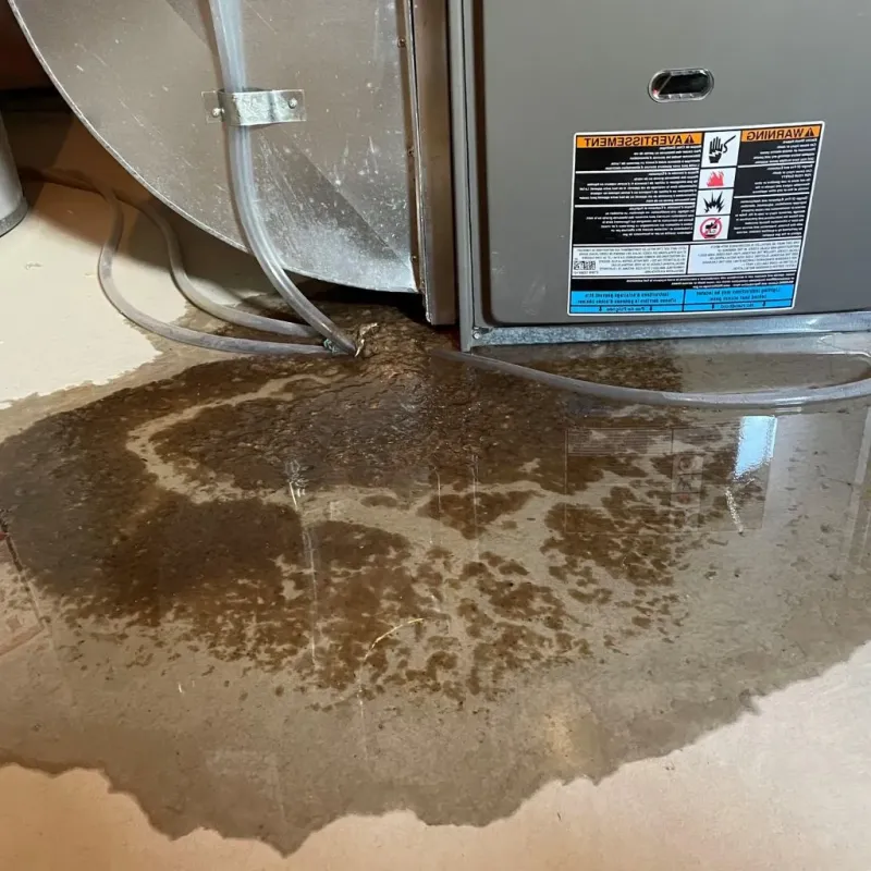 Pipe Burst and Leak Restoration in Metcalfe County, KY